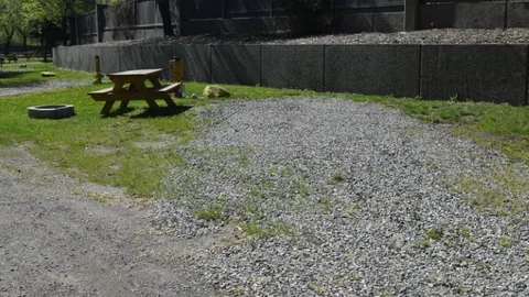 Back-In Leisure Wide RV Site — image 6 of 6