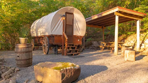 Covered Wagon — image 13 of 13