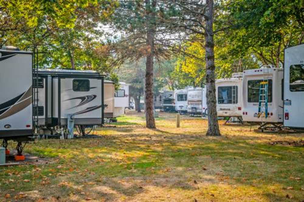 Brookhollow RV Park - Photo 3