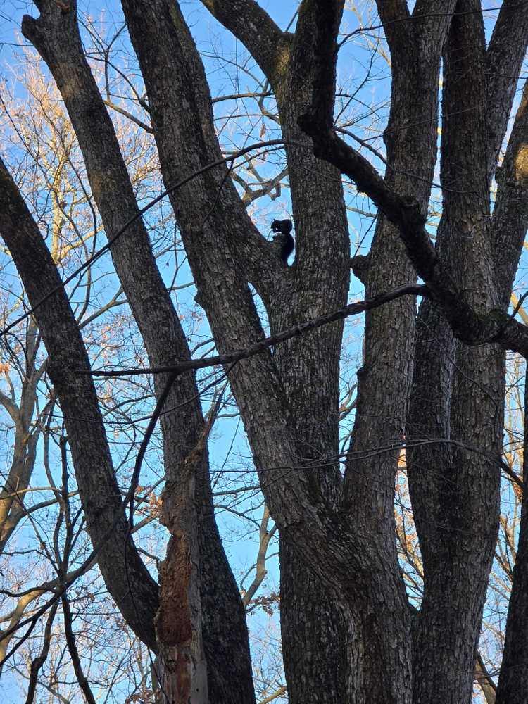 Park Image 6