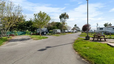 Back in Site — image 1 of 3