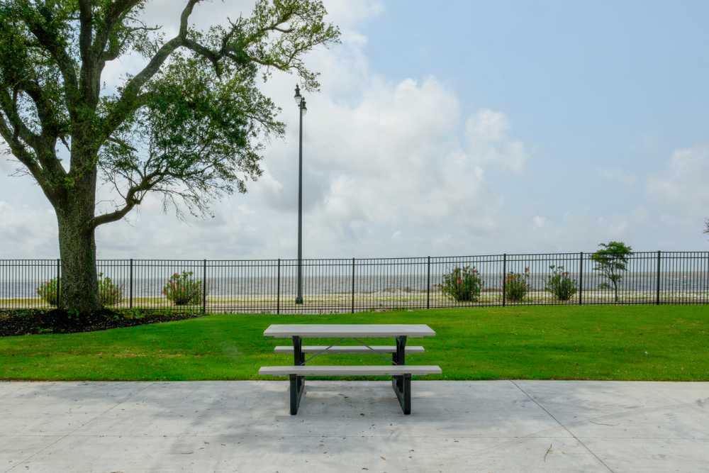 Park Image 13