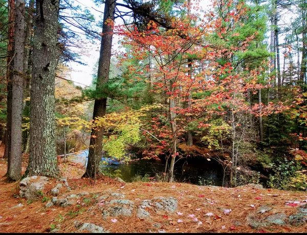 Farquar-Mesta Tourist Park & Campground campground