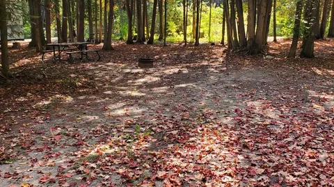DUR Site 104 - Unserviced (T) — image 1 of 2