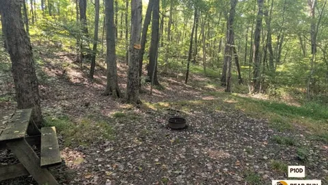 Primitive Walk In Tent Site — image 2 of 22