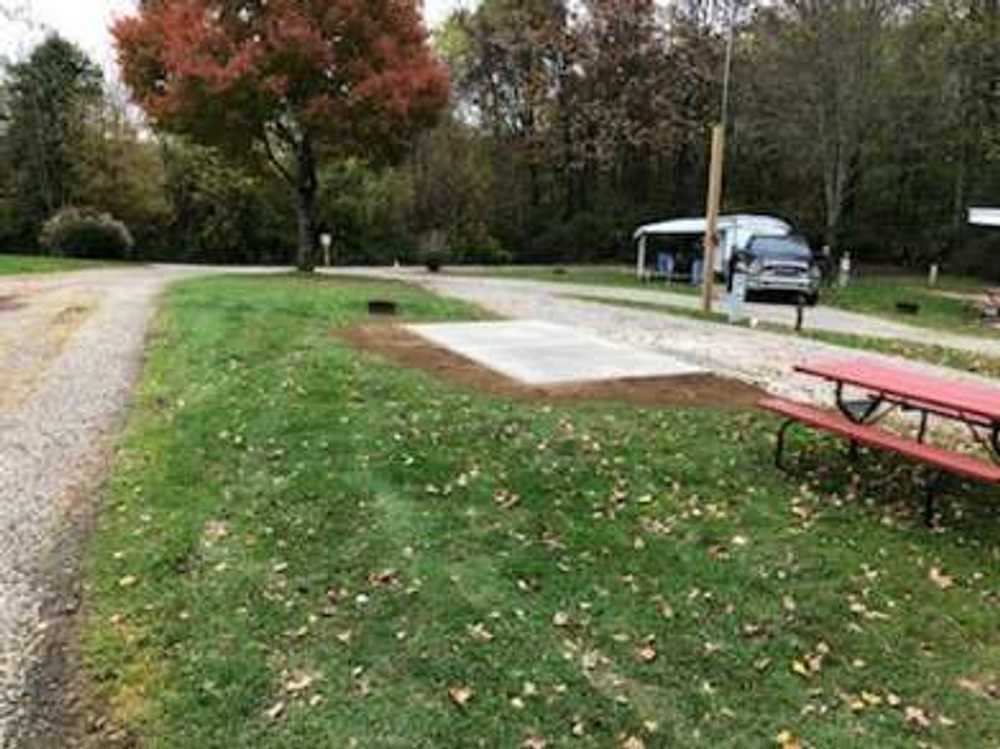 Wolfie's Campground - Photo 4
