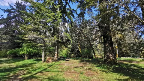 15 Amp Creek Front RV Site — image 2 of 3