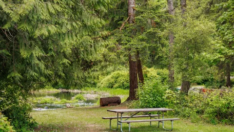 Lake Creek Primitive Tent Site — image 1 of 11