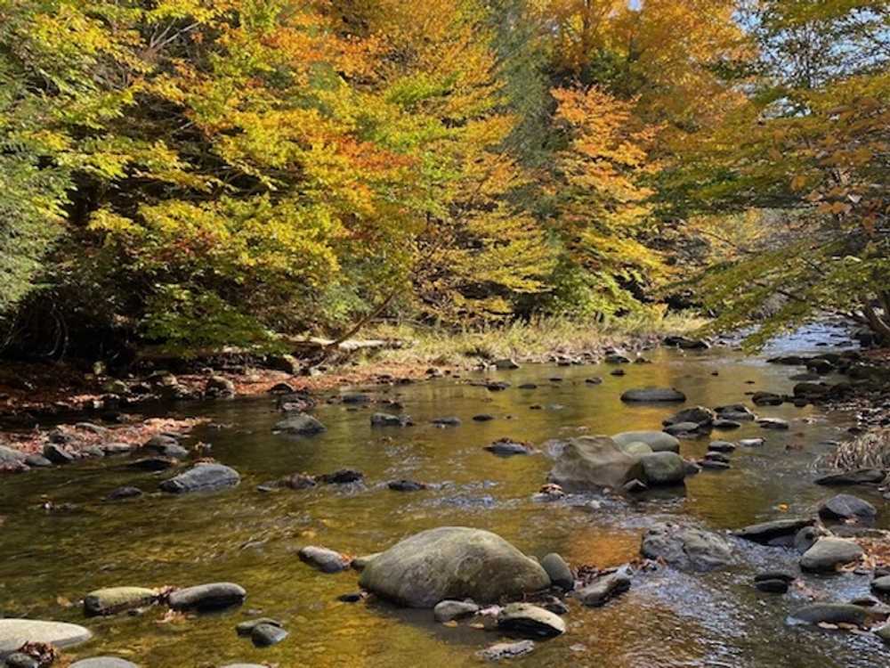 Park Image 5