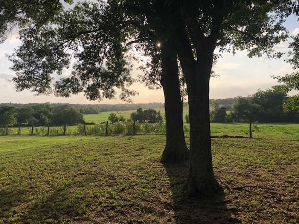 Park Image 12