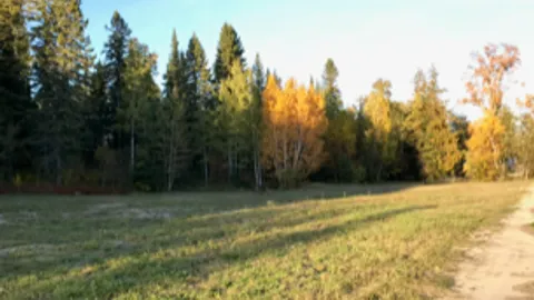 No Service  RV Site — image 2 of 4