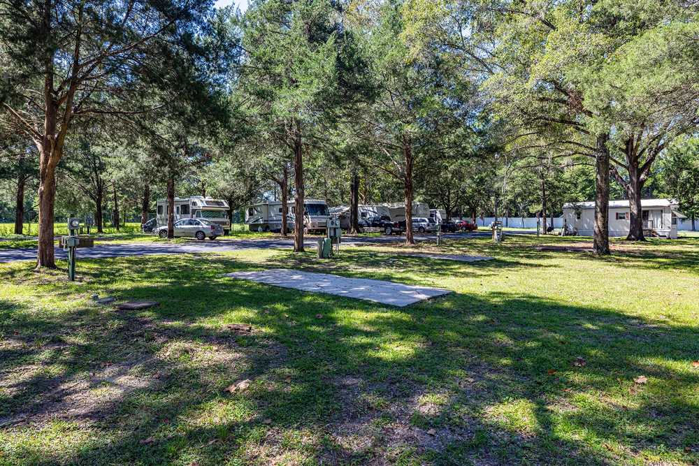 Cliftwood Mobile Home & RV Resort (Age Restricted 55+) - Photo 5