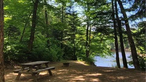 Campsite - Unserviced — image 2 of 5