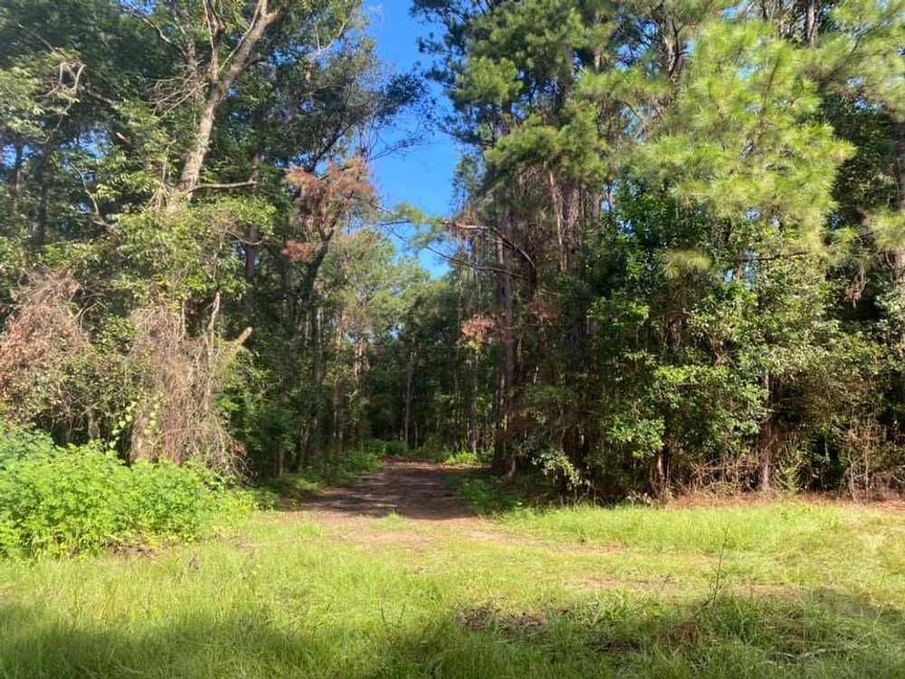 Cross Creek Campground - Photo 5