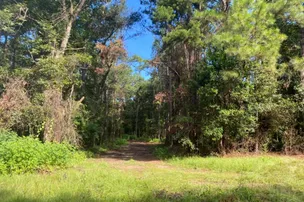 Cross Creek Campground – photo 5