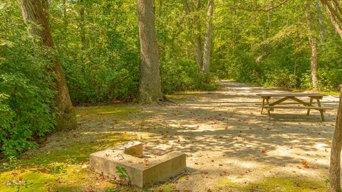 Tent Site — image 3 of 3