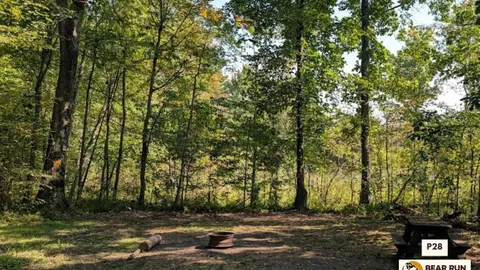 Primitive Walk In Tent Site — image 22 of 22