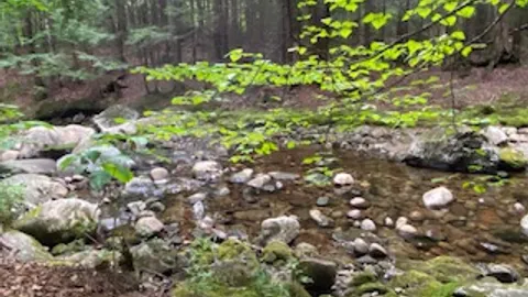 Tent- Double Site, Brook Front — image 5 of 5