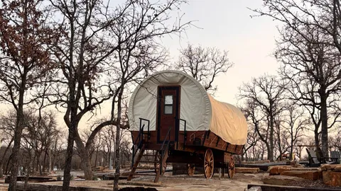 Wagons — image 2 of 11