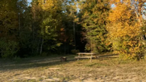 No Service  RV Site — image 2 of 4