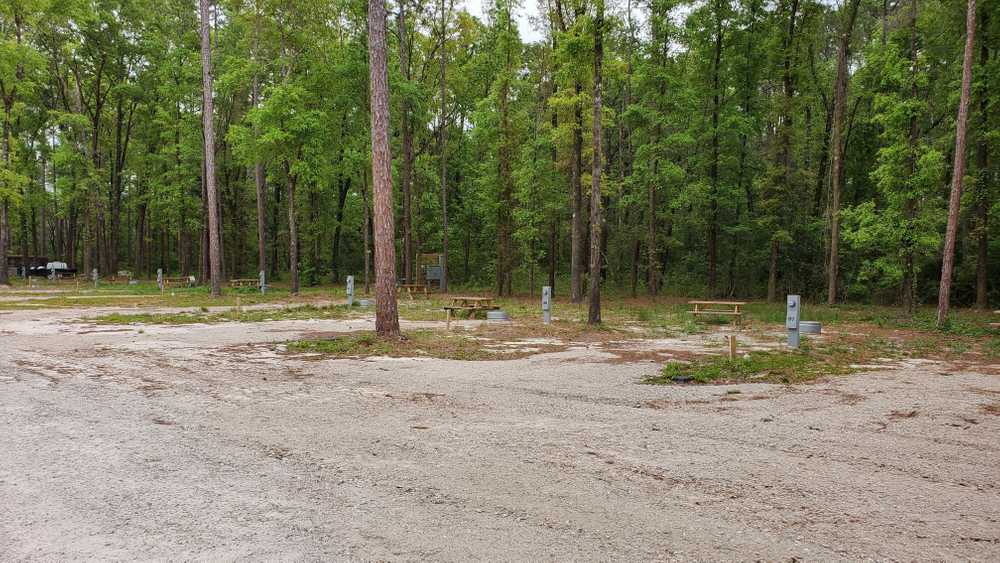 Park Image 6