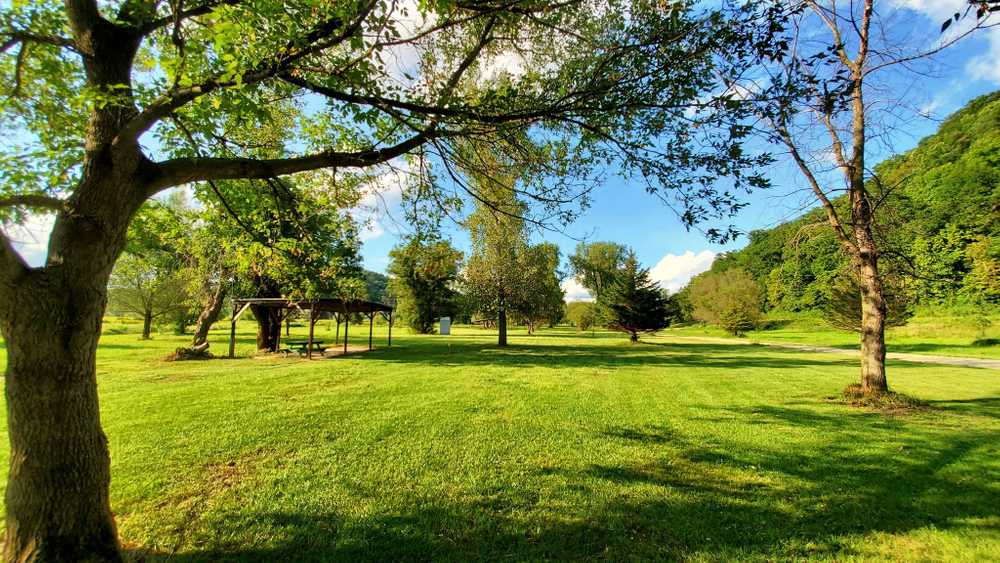 West Fork Sports Club - Photo 5