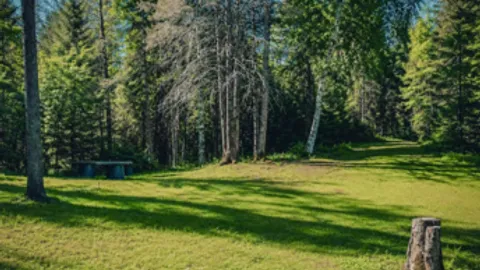 Hill Side — image 2 of 5