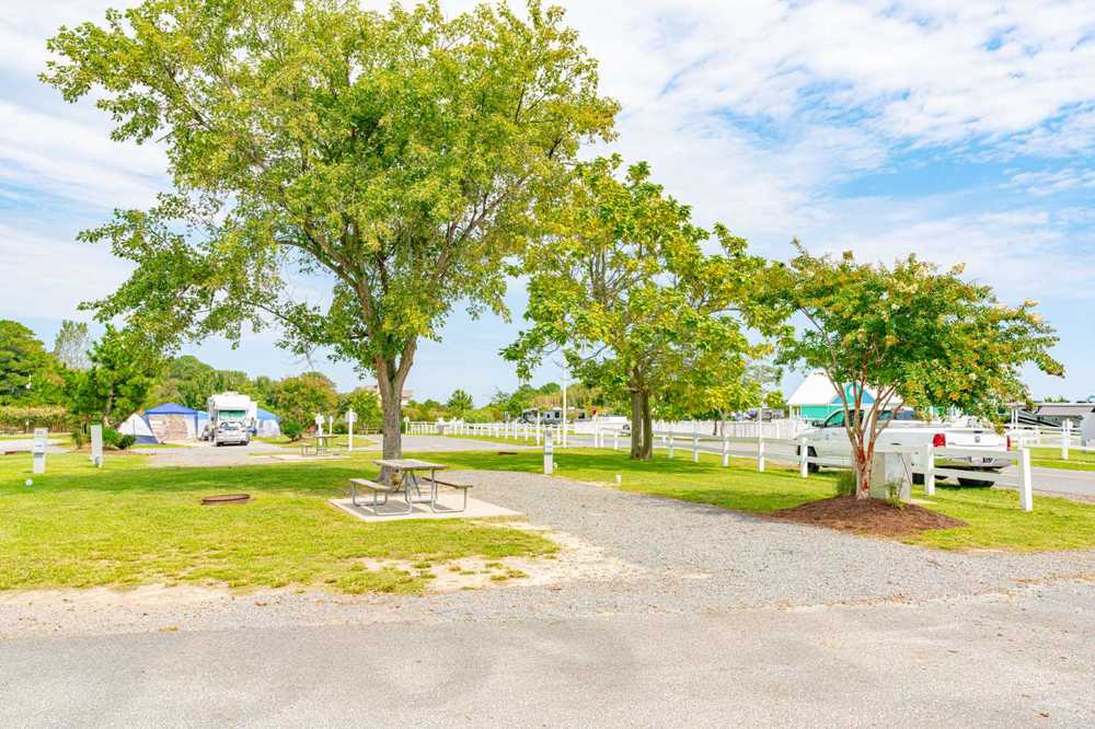 Main Deck Full Hookup RV Site