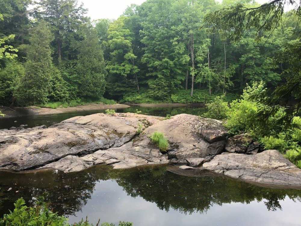 Black River Wilderness Park - Photo 2