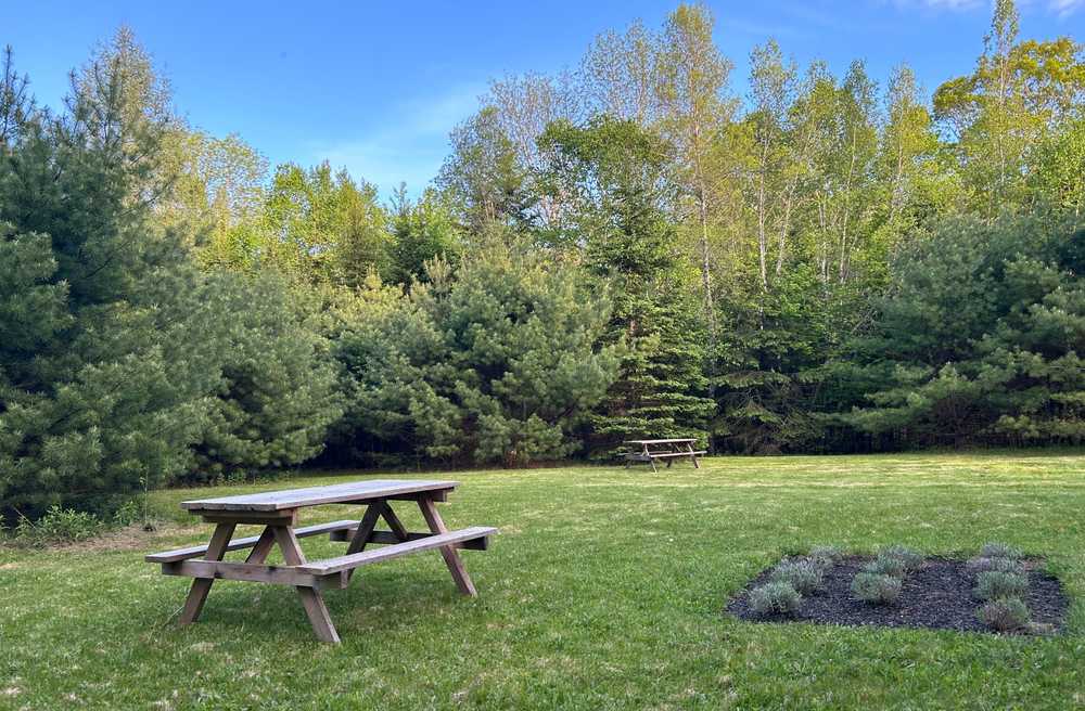 Sustainable Hill Wellness Resort, Scotch Village, Nova Scotia - Photo 5