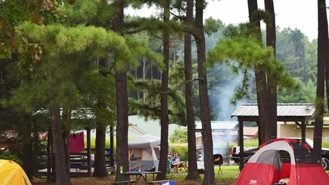 Primitive Tent Site — image 1 of 5