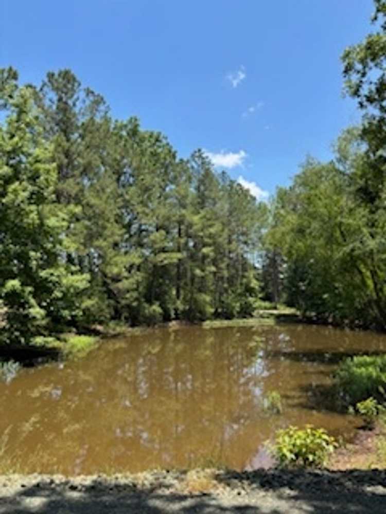 Crankbait Cove RV Park, Zavalla, Texas - Photo 2
