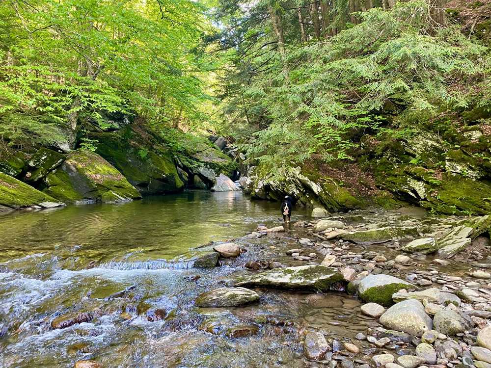 Park Image 10