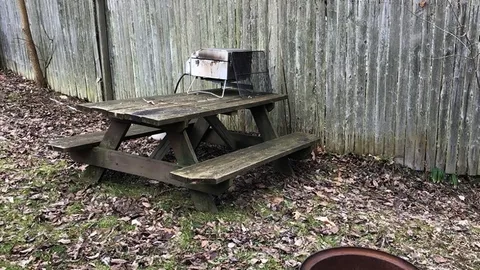 Rustic Cabin Mobile Home — image 2 of 5