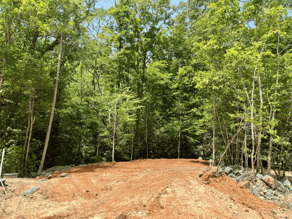 Park Image 5