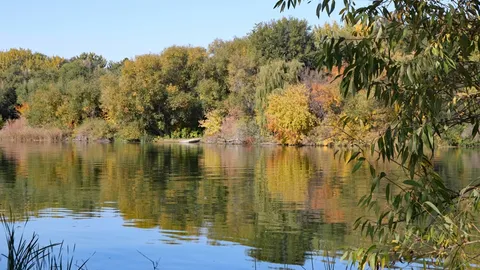 River side — image 1 of 2