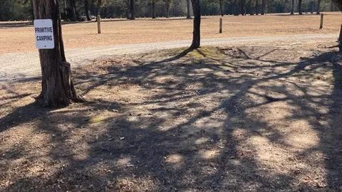 Primitive Tent Site — image 1 of 2