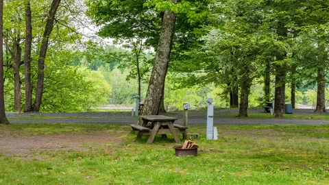 Standard Pull-Thru RV Site — image 4 of 4