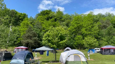 Electric Tent Site (800's) — image 2 of 6