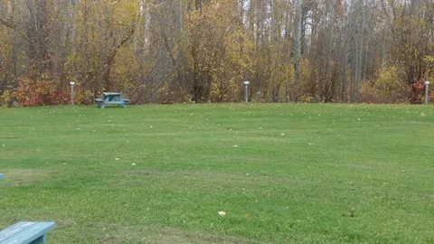 DELUXE NON POWER SITE - BALL DIAMONDS — image 2 of 3