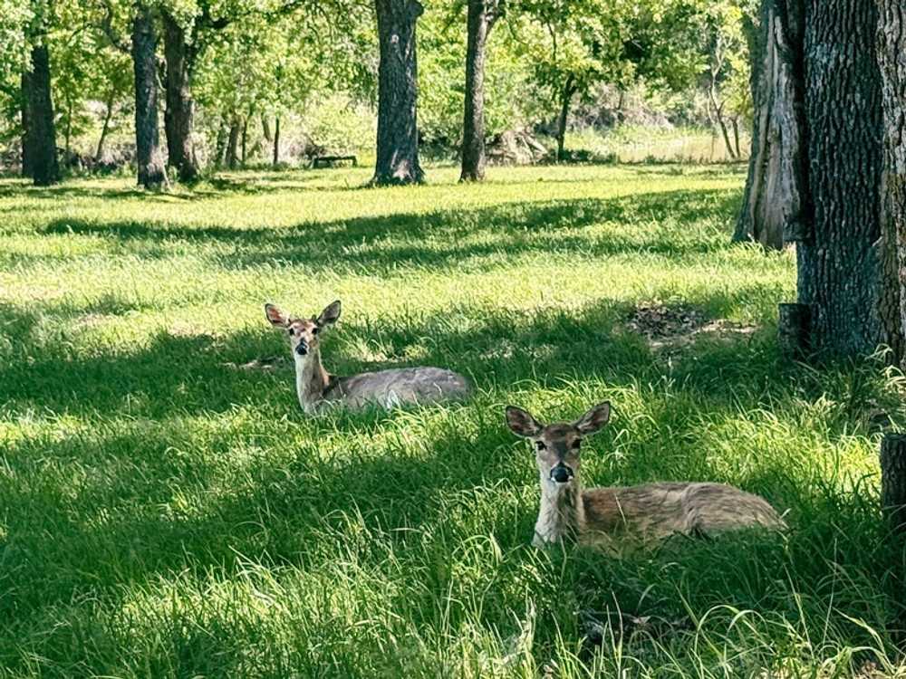 Clear Creek Lake, Marlow, Oklahoma - Photo 4