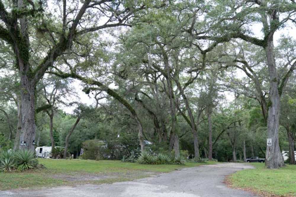 Park Image 11
