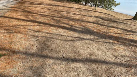 Waterfront Rustic — image 6 of 6