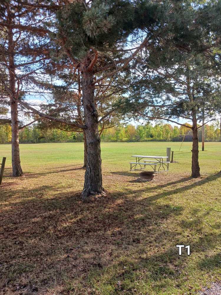 Park Image 7