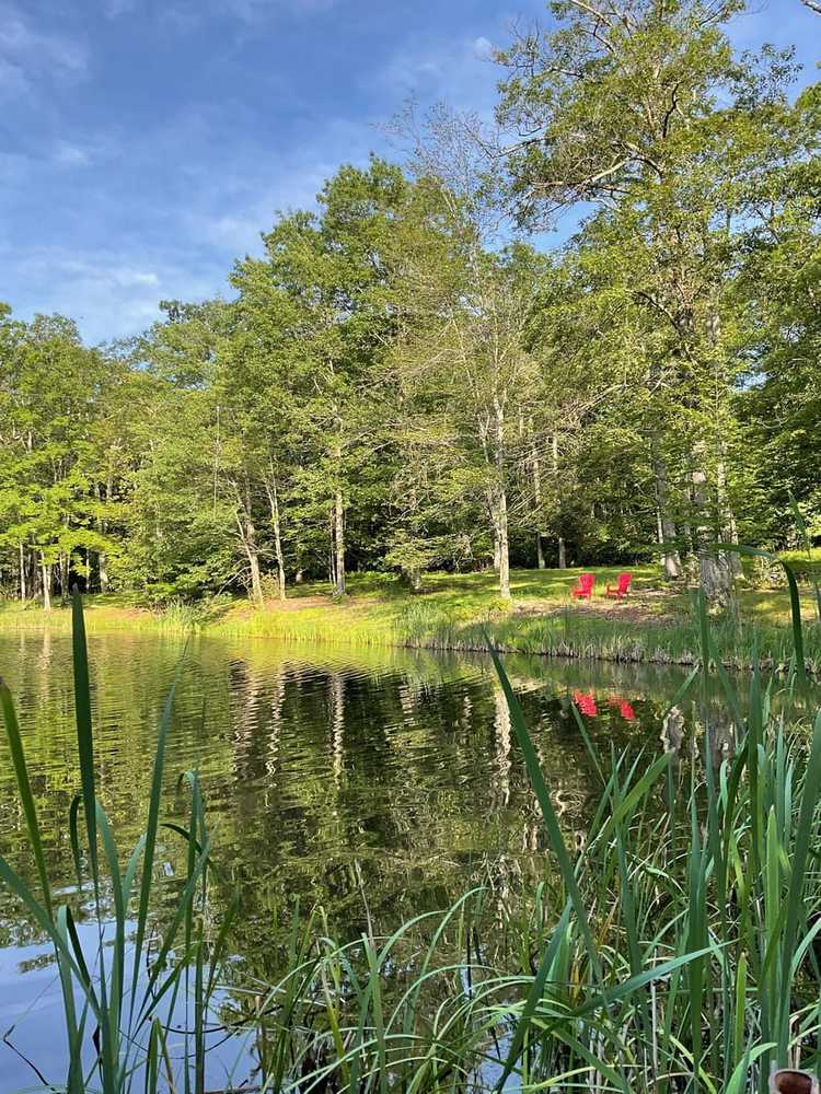 Park Image 7