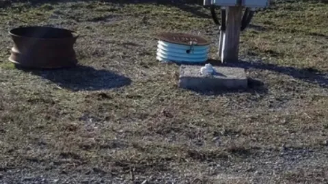 Permanent RV Site 16 — image 2 of 5