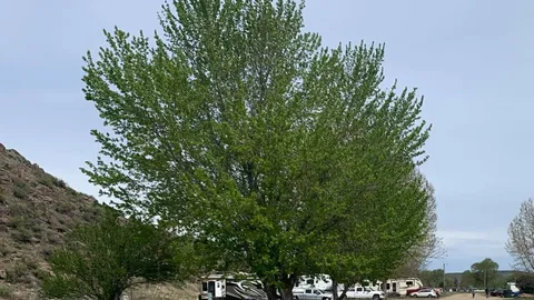 Full Hookup RV Site — image 4 of 4