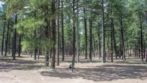 Group Site — image 4 of 4