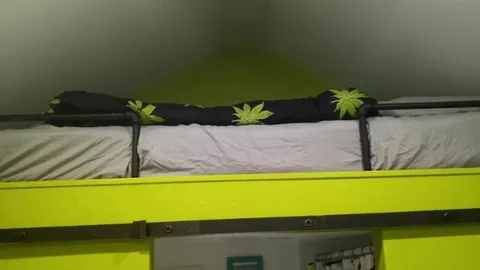 #2 Reefer Madness — image 2 of 5