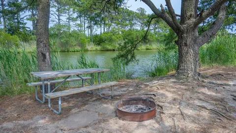Primitive Tent Site — image 1 of 8